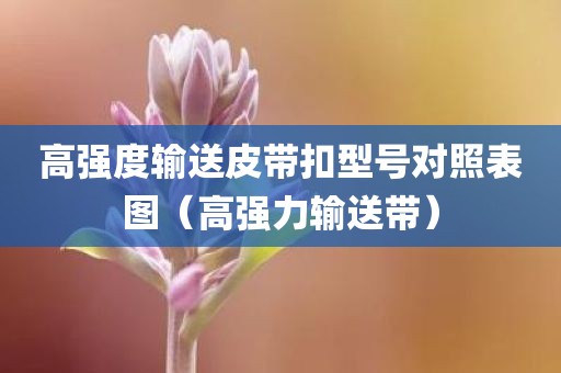 高强度输送皮带扣型号对照表图（高强力输送带）