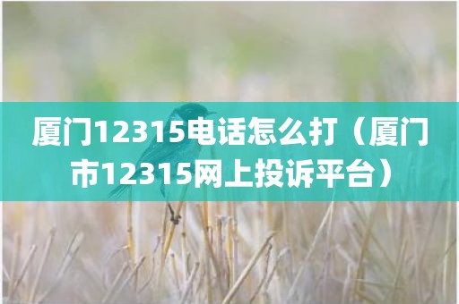 厦门12315电话怎么打（厦门市12315网上投诉平台）