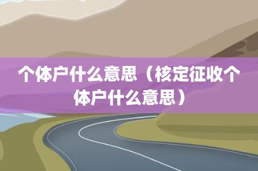 个体户什么意思（核定征收个体户什么意思）