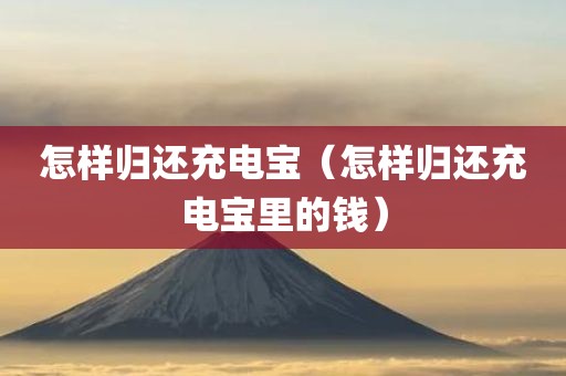 怎样归还充电宝（怎样归还充电宝里的钱）