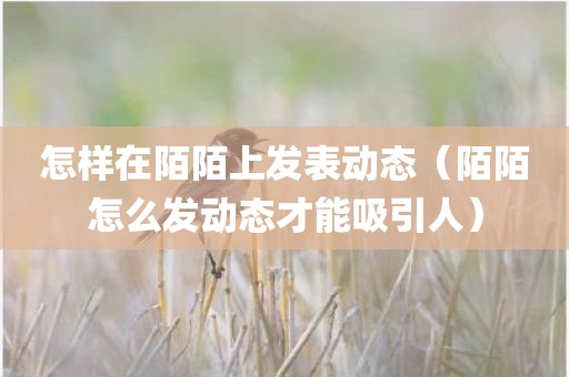 怎样在陌陌上发表动态（陌陌怎么发动态才能吸引人）