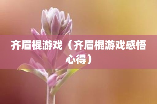 齐眉棍游戏(齐眉棍游戏感悟心得)