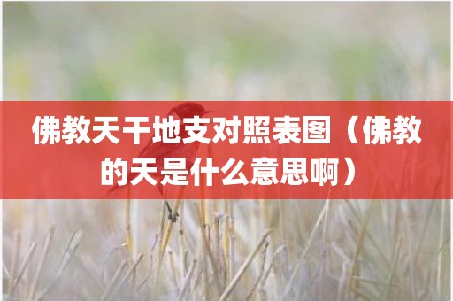 佛教天干地支对照表图（佛教的天是什么意思啊）