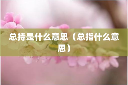 总持是什么意思（总指什么意思）