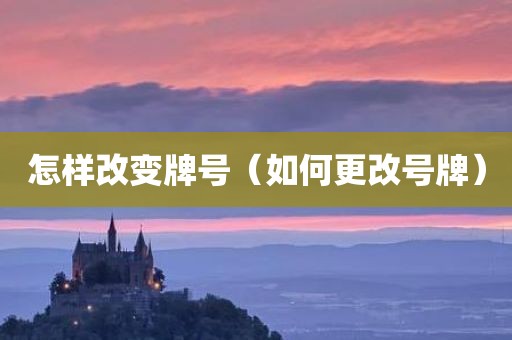怎样改变牌号（如何更改号牌）
