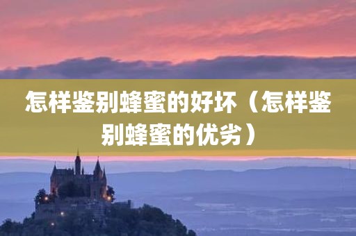 怎样鉴别蜂蜜的好坏（怎样鉴别蜂蜜的优劣）