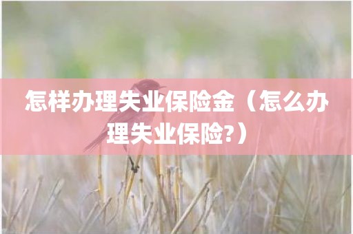 怎样办理失业保险金（怎么办理失业保险?）