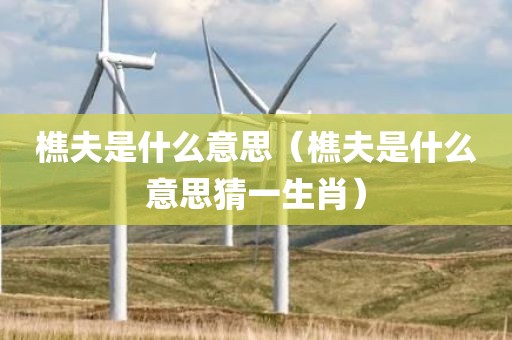 樵夫是什么意思（樵夫是什么意思猜一生肖）