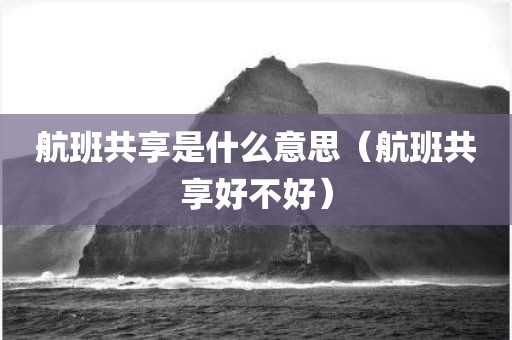 航班共享是什么意思(航班共享好不好)