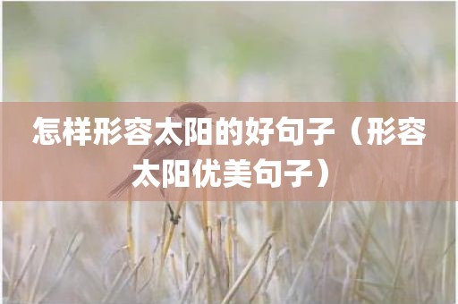 怎样形容太阳的好句子（形容太阳优美句子）