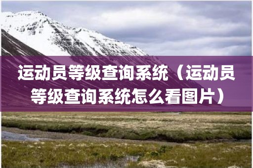 运动员等级查询系统（运动员等级查询系统怎么看图片）