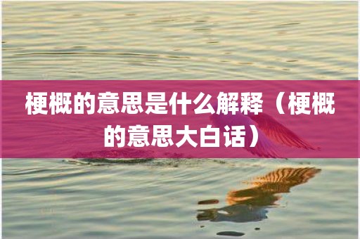 梗概的意思是什么解释（梗概的意思大白话）