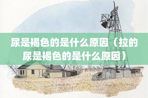 尿是褐色的是什么原因（拉的尿是褐色的是什么原因）