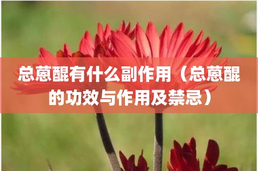总蒽醌有什么副作用（总蒽醌的功效与作用及禁忌）
