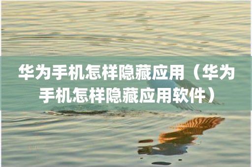 华为手机怎样隐藏应用（华为手机怎样隐藏应用软件）