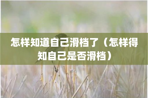 怎样知道自己滑档了（怎样得知自己是否滑档）
