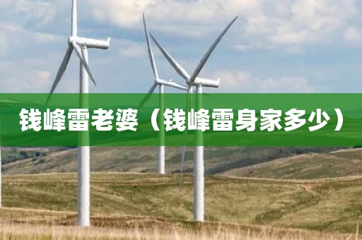 钱峰雷老婆（钱峰雷身家多少）