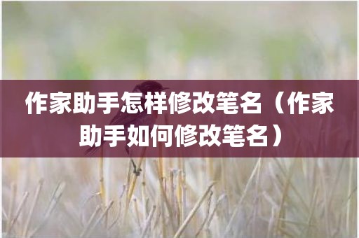 作家助手怎样修改笔名（作家助手如何修改笔名）