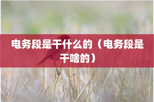 电务段是干什么的（电务段是干啥的）