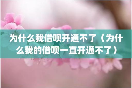 为什么我借呗开通不了（为什么我的借呗一直开通不了）