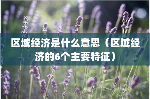 区域经济是什么意思（区域经济的6个主要特征）