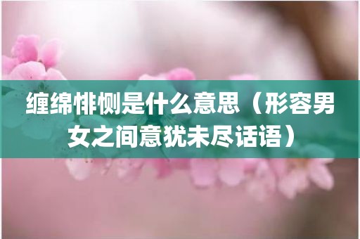 缠绵悱恻是什么意思（形容男女之间意犹未尽话语）
