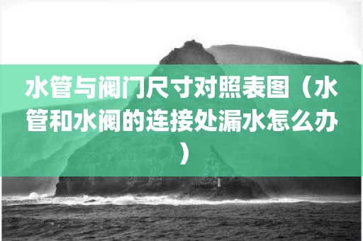 水管与阀门尺寸对照表图（水管和水阀的连接处漏水怎么办）