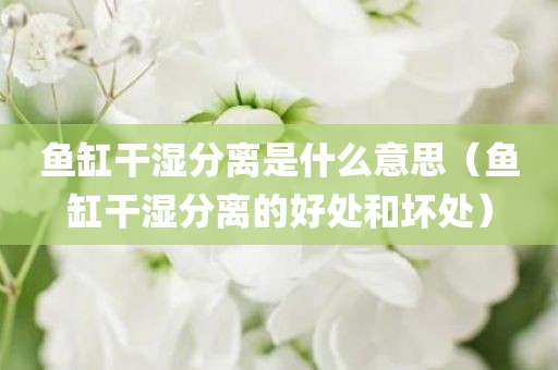 鱼缸干湿分离是什么意思（鱼缸干湿分离的好处和坏处）