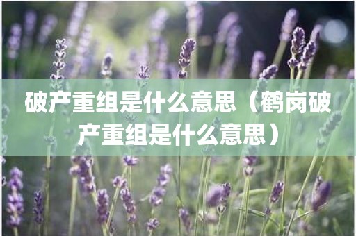 破产重组是什么意思（鹤岗破产重组是什么意思）