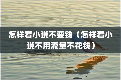怎样看小说不要钱（怎样看小说不用流量不花钱）