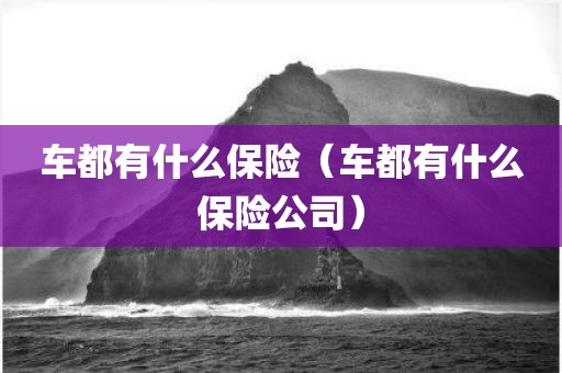 车都有什么保险（车都有什么保险公司）
