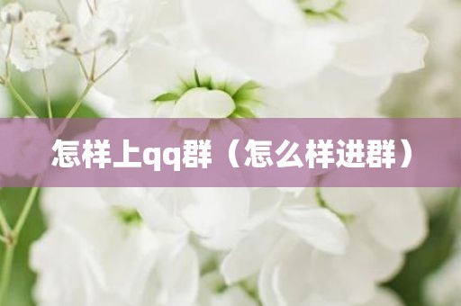 怎样上qq群（怎么样进群）