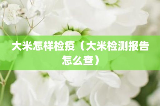 大米怎样检疫（大米检测报告怎么查）
