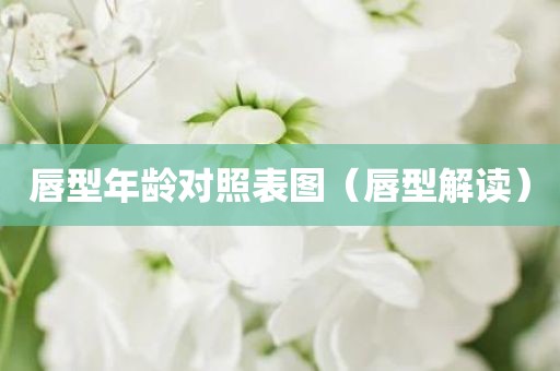 唇型年龄对照表图（唇型解读）