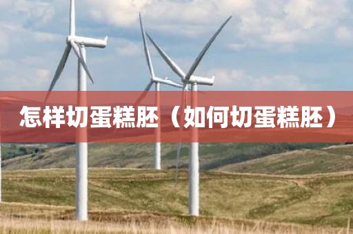 怎样切蛋糕胚（如何切蛋糕胚）