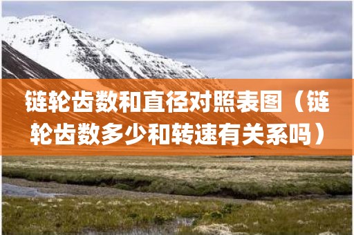 链轮齿数和直径对照表图（链轮齿数多少和转速有关系吗）