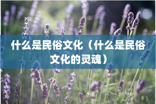 什么是民俗文化（什么是民俗文化的灵魂）