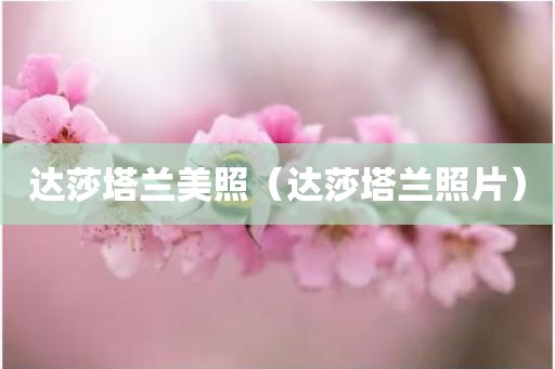 达莎塔兰美照（达莎塔兰照片）