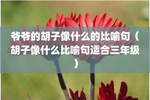 爷爷的胡子像什么的比喻句（胡子像什么比喻句适合三年级）