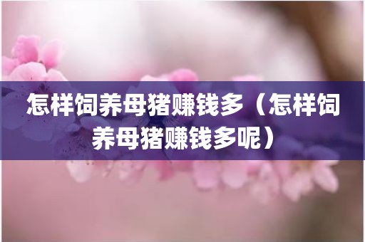怎样饲养母猪赚钱多（怎样饲养母猪赚钱多呢）