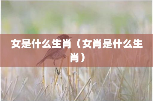 女是什么生肖（女肖是什么生肖）