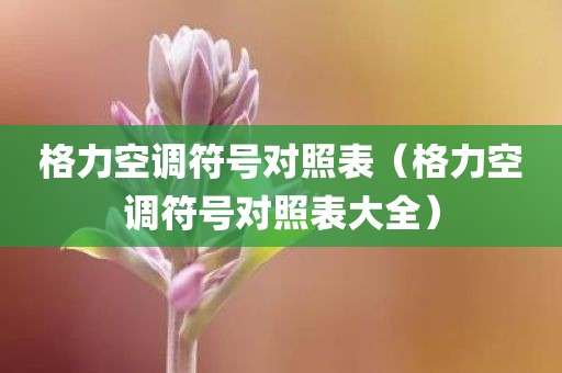 格力空调符号对照表（格力空调符号对照表大全）