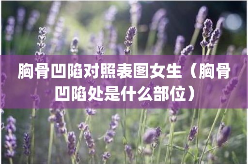 胸骨凹陷对照表图女生（胸骨凹陷处是什么部位）