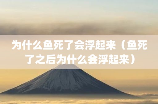 为什么鱼死了会浮起来（鱼死了之后为什么会浮起来）