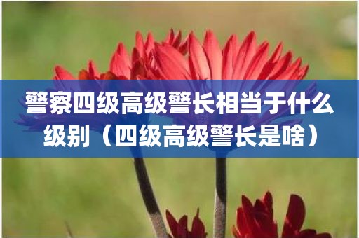 警察四级高级警长相当于什么级别（四级高级警长是啥）