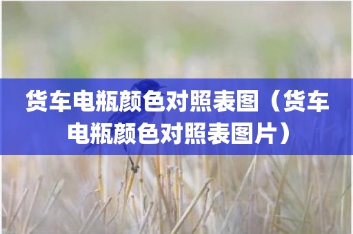 货车电瓶颜色对照表图（货车电瓶颜色对照表图片）