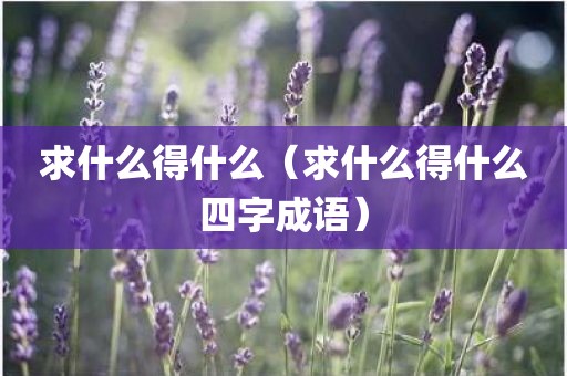 求什么得什么（求什么得什么四字成语）