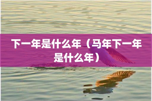 下一年是什么年（马年下一年是什么年）