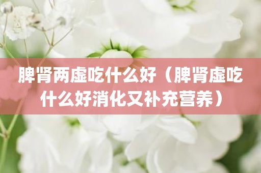 脾肾两虚吃什么好（脾肾虚吃什么好消化又补充营养）