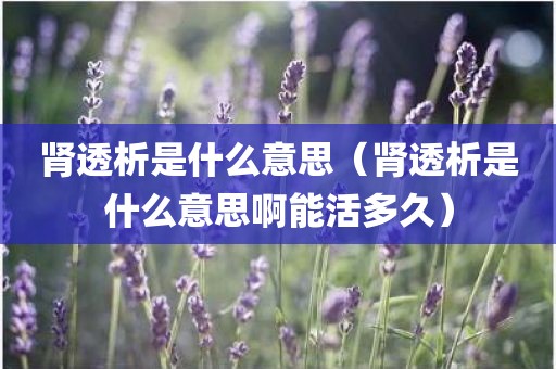 肾透析是什么意思（肾透析是什么意思啊能活多久）